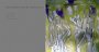 rassemblements__w__02